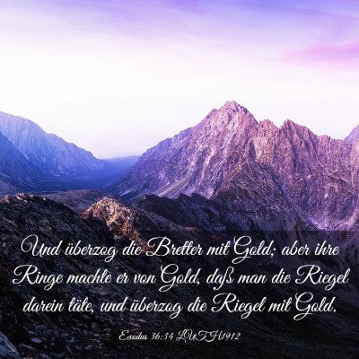 Picture 03 - Exodus 36:34 LUTH1912 - Und überzog die Bretter mit Gold; aber ihre - Bible Verse Picture