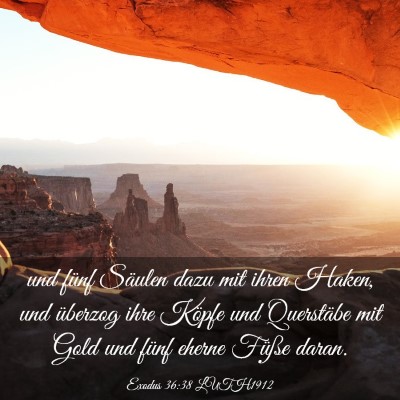 Picture 03 - Exodus 36:38 LUTH1912 - und fünf Säulen dazu mit ihren Haken, und - Bible Verse Picture
