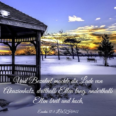 Picture 03 - Exodus 37:1 LUTH1912 - Und Bezaleel machte die Lade von Akazienholz, - Bible Verse Picture