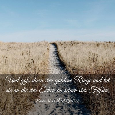 Picture 03 - Exodus 37:13 LUTH1912 - Und goß dazu vier goldene Ringe und tat sie an - Bible Verse Picture