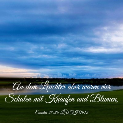 Picture 03 - Exodus 37:20 LUTH1912 - An dem Leuchter aber waren vier Schalen mit - Bible Verse Picture