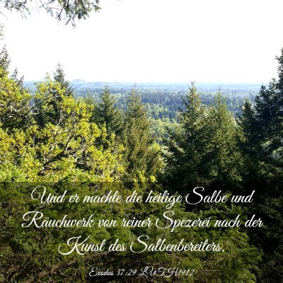 Picture 03 - Exodus 37:29 LUTH1912 - Und er machte die heilige Salbe und Räuchwerk - Bible Verse Picture