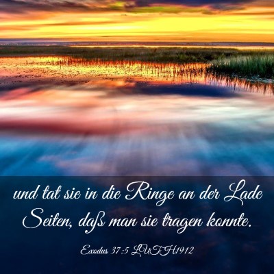Picture 03 - Exodus 37:5 LUTH1912 - und tat sie in die Ringe an der Lade Seiten, daß - Bible Verse Picture
