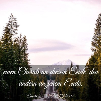 Picture 03 - Exodus 37:8 LUTH1912 - einen Cherub an diesem Ende, den andern an jenem - Bible Verse Picture