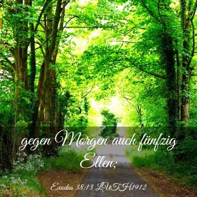 Picture 03 - Exodus 38:13 LUTH1912 - gegen Morgen auch fünfzig - Bible Verse Picture