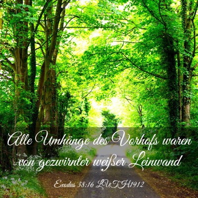 Picture 03 - Exodus 38:16 LUTH1912 - Alle Umhänge des Vorhofs waren von gezwirnter - Bible Verse Picture