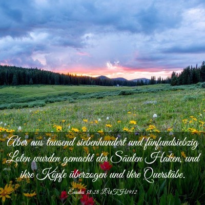 Picture 03 - Exodus 38:28 LUTH1912 - Aber aus tausend siebenhundert und - Bible Verse Picture