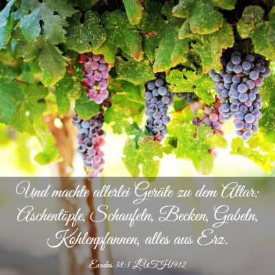 Picture 03 - Exodus 38:3 LUTH1912 - Und machte allerlei Geräte zu dem Altar: - Bible Verse Picture
