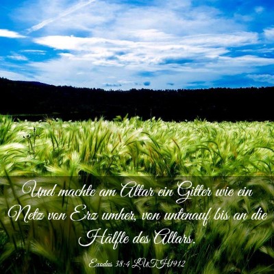 Picture 03 - Exodus 38:4 LUTH1912 - Und machte am Altar ein Gitter wie ein Netz von - Bible Verse Picture