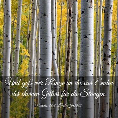 Picture 03 - Exodus 38:5 LUTH1912 - Und goß vier Ringe an die vier Enden des ehernen - Bible Verse Picture