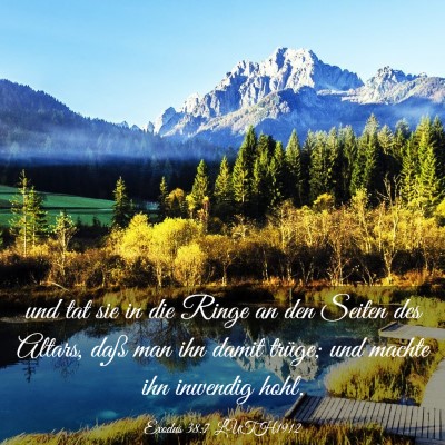 Picture 03 - Exodus 38:7 LUTH1912 - und tat sie in die Ringe an den Seiten des - Bible Verse Picture