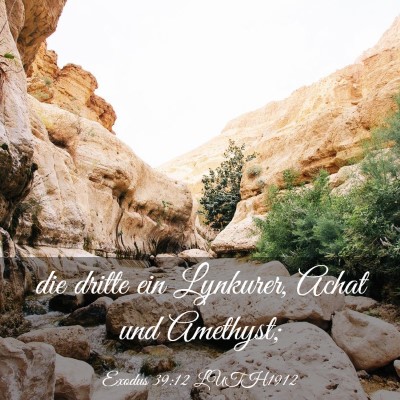 Picture 03 - Exodus 39:12 LUTH1912 - die dritte ein Lynkurer, Achat und - Bible Verse Picture