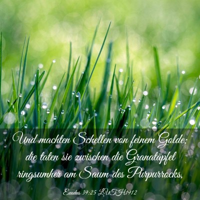Picture 03 - Exodus 39:25 LUTH1912 - Und machten Schellen von feinem Golde; die taten - Bible Verse Picture