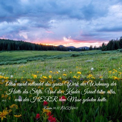 Picture 03 - Exodus 39:32 LUTH1912 - Also ward vollendet das ganze Werk der Wohnung - Bible Verse Picture