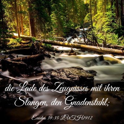 Picture 03 - Exodus 39:35 LUTH1912 - die Lade des Zeugnisses mit ihren Stangen, den - Bible Verse Picture