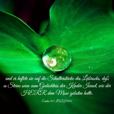 Picture 03 - Exodus 39:7 LUTH1912 - und er heftete sie auf die Schulterstücke des - Bible Verse Picture