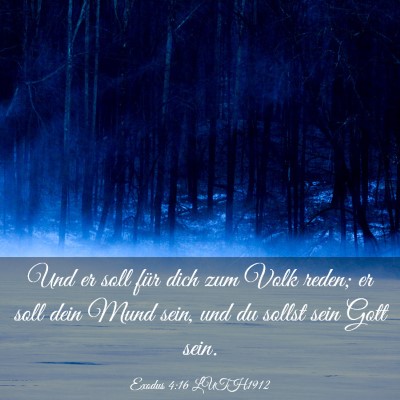 Picture 03 - Exodus 4:16 LUTH1912 - Und er soll für dich zum Volk reden; er soll - Bible Verse Picture