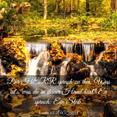 Picture 03 - Exodus 4:2 LUTH1912 - Der HERR sprach zu ihm: Was ist's, was du in - Bible Verse Picture