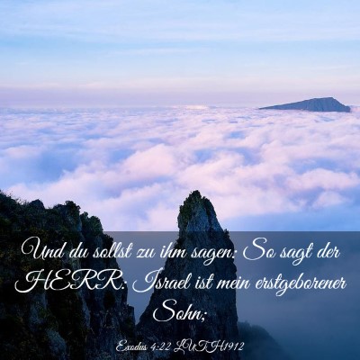 Picture 03 - Exodus 4:22 LUTH1912 - Und du sollst zu ihm sagen: So sagt der HERR: - Bible Verse Picture