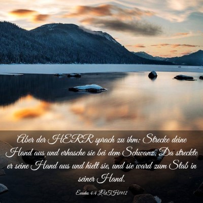 Picture 03 - Exodus 4:4 LUTH1912 - Aber der HERR sprach zu ihm: Strecke deine Hand - Bible Verse Picture