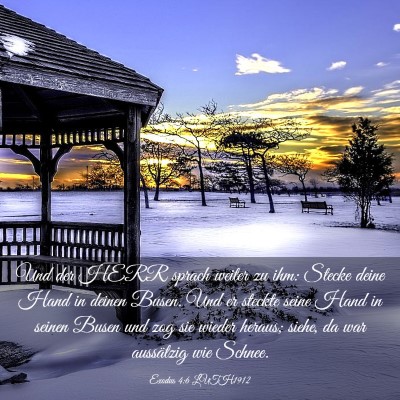 Picture 03 - Exodus 4:6 LUTH1912 - Und der HERR sprach weiter zu ihm: Stecke deine - Bible Verse Picture