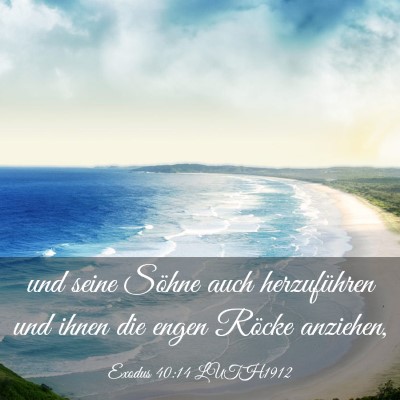 Picture 03 - Exodus 40:14 LUTH1912 - und seine Söhne auch herzuführen und ihnen die - Bible Verse Picture