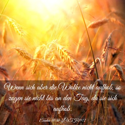 Picture 03 - Exodus 40:37 LUTH1912 - Wenn sich aber die Wolke nicht aufhob, so zogen - Bible Verse Picture