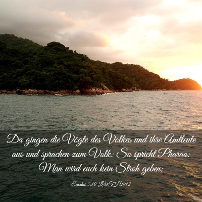 Picture 03 - Exodus 5:10 LUTH1912 - Da gingen die Vögte des Volkes und ihre Amtleute - Bible Verse Picture