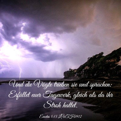 Picture 03 - Exodus 5:13 LUTH1912 - Und die Vögte trieben sie und sprachen: - Bible Verse Picture