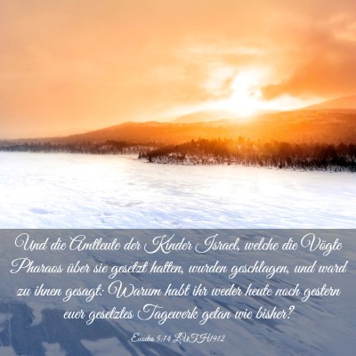 Picture 03 - Exodus 5:14 LUTH1912 - Und die Amtleute der Kinder Israel, welche die - Bible Verse Picture