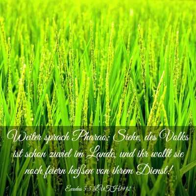 Picture 03 - Exodus 5:5 LUTH1912 - Weiter sprach Pharao: Siehe, des Volks ist schon - Bible Verse Picture