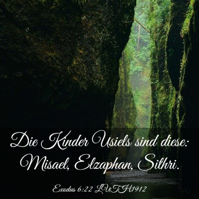 Picture 03 - Exodus 6:22 LUTH1912 - Die Kinder Usiels sind diese: Misael, Elzaphan, - Bible Verse Picture