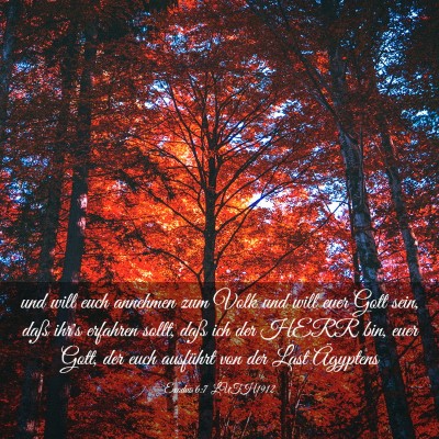 Picture 03 - Exodus 6:7 LUTH1912 - und will euch annehmen zum Volk und will euer - Bible Verse Picture