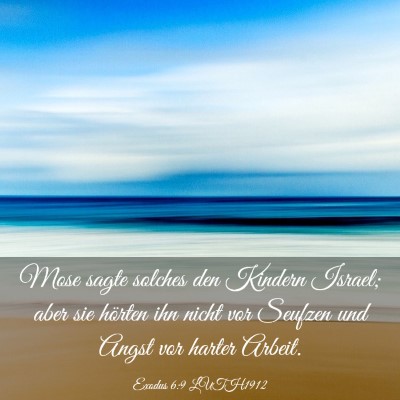 Picture 03 - Exodus 6:9 LUTH1912 - Mose sagte solches den Kindern Israel; aber sie - Bible Verse Picture