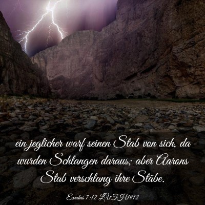 Picture 03 - Exodus 7:12 LUTH1912 - ein jeglicher warf seinen Stab von sich, da - Bible Verse Picture