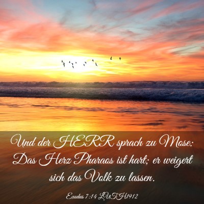 Picture 03 - Exodus 7:14 LUTH1912 - Und der HERR sprach zu Mose: Das Herz Pharaos ist - Bible Verse Picture