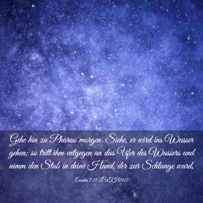 Picture 03 - Exodus 7:15 LUTH1912 - Gehe hin zu Pharao morgen. Siehe, er wird ins - Bible Verse Picture