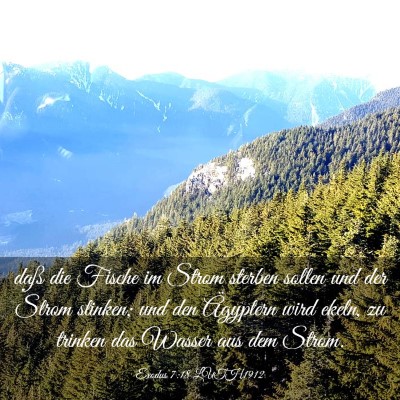 Picture 03 - Exodus 7:18 LUTH1912 - daß die Fische im Strom sterben sollen und der - Bible Verse Picture