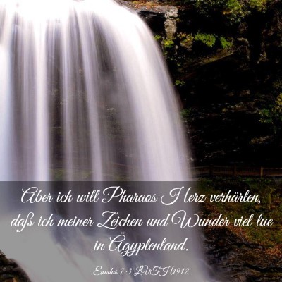 Picture 03 - Exodus 7:3 LUTH1912 - Aber ich will Pharaos Herz verhärten, daß ich - Bible Verse Picture