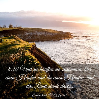 Picture 03 - Exodus 8:14 LUTH1912 - 8:10 Und sie häuften sie zusammen, hier einen - Bible Verse Picture