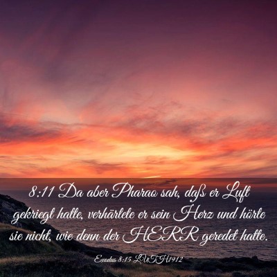 Picture 03 - Exodus 8:15 LUTH1912 - 8:11 Da aber Pharao sah, daß er Luft gekriegt - Bible Verse Picture