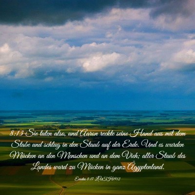 Picture 03 - Exodus 8:17 LUTH1912 - 8:13 Sie taten also, und Aaron reckte seine Hand - Bible Verse Picture