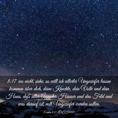 Picture 03 - Exodus 8:21 LUTH1912 - 8:17 wo nicht, siehe, so will ich allerlei - Bible Verse Picture