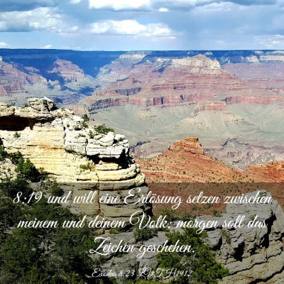 Picture 03 - Exodus 8:23 LUTH1912 - 8:19 und will eine Erlösung setzen zwischen - Bible Verse Picture