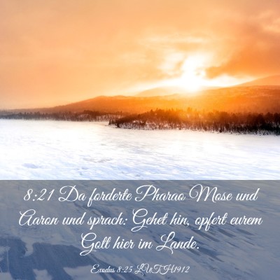 Picture 03 - Exodus 8:25 LUTH1912 - 8:21 Da forderte Pharao Mose und Aaron und - Bible Verse Picture