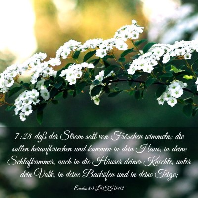 Picture 03 - Exodus 8:3 LUTH1912 - 7:28 daß der Strom soll von Fröschen wimmeln; - Bible Verse Picture