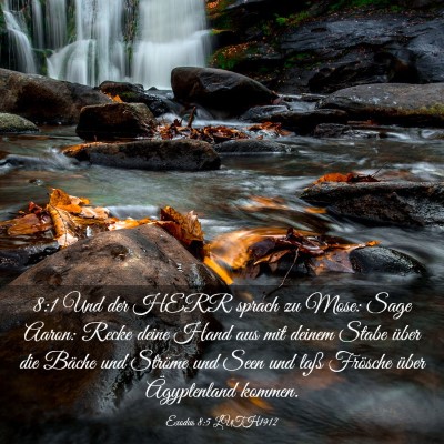 Picture 03 - Exodus 8:5 LUTH1912 - 8:1 Und der HERR sprach zu Mose: Sage Aaron: - Bible Verse Picture