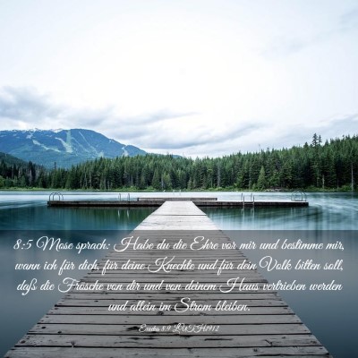 Picture 03 - Exodus 8:9 LUTH1912 - 8:5 Mose sprach: Habe du die Ehre vor mir und - Bible Verse Picture