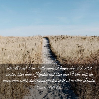 Picture 03 - Exodus 9:14 LUTH1912 - ich will sonst diesmal alle meine Plagen über - Bible Verse Picture