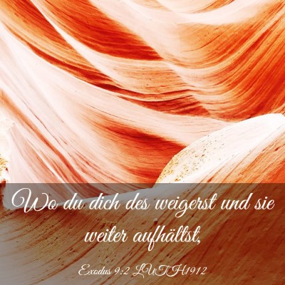 Picture 03 - Exodus 9:2 LUTH1912 - Wo du dich des weigerst und sie weiter - Bible Verse Picture